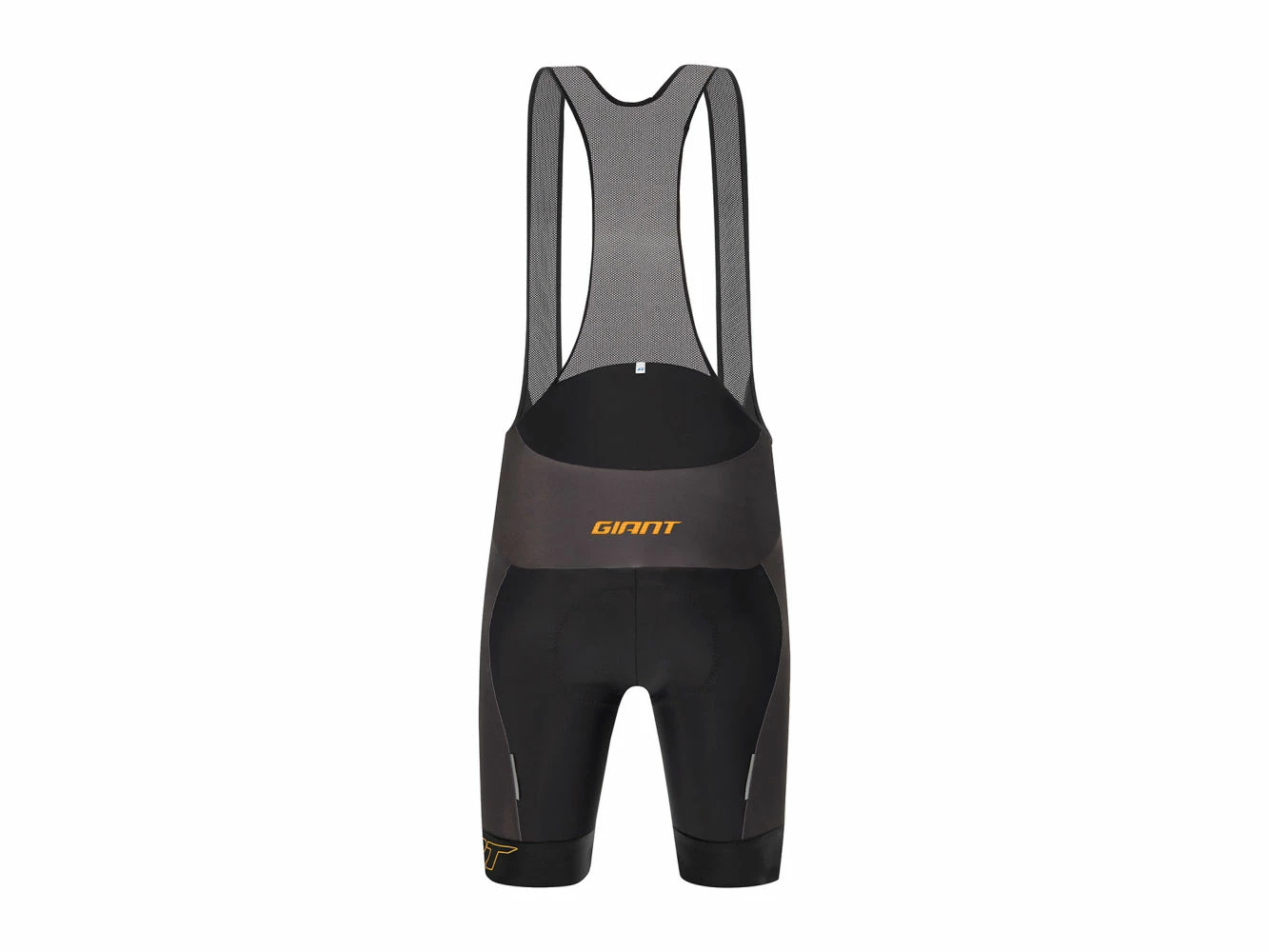 Cuissard Laurus 2021 4 Cuissard Laurus 2021 – Image 4