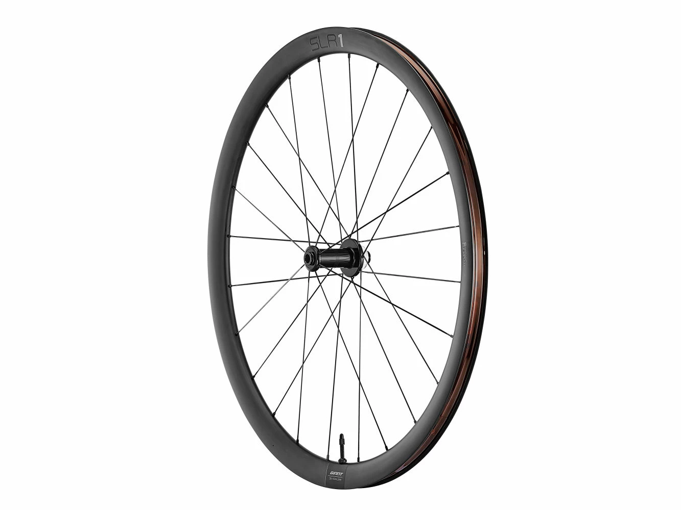 SLR 1 36 Disc Wheelsystem 2 SLR 1 36 Disc Wheelsystem – Image 2